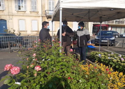 Image Marché aux Fleurs et aux Plantes à Bergerac