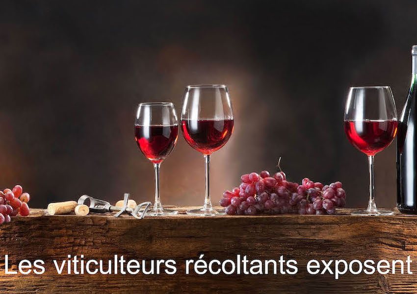 Image 18 EME SALON DES VINS & DU TERROIR