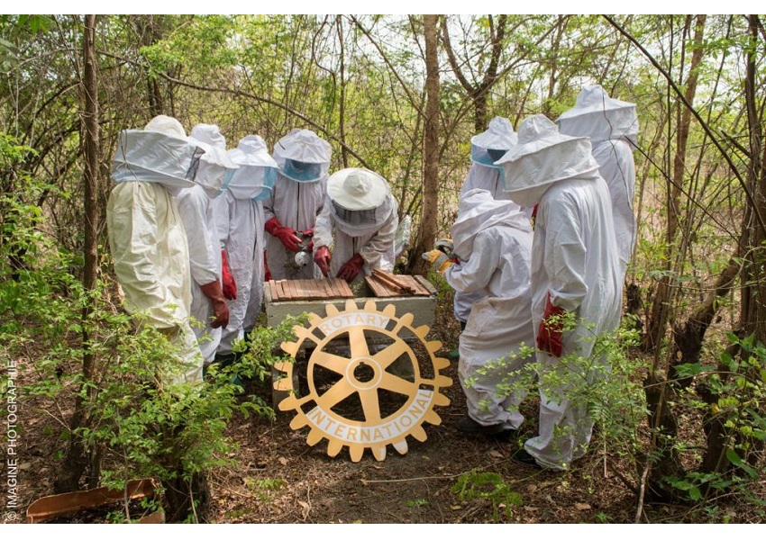 Image DÉVELOPPEMENT RURAL PAR L’APICULTURE : UNE ACTION FRANCO-BÉNINOISE