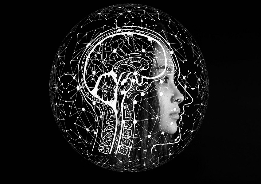 Image Développer son intelligence, c'est possible !