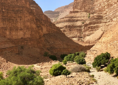 Image Tourisme solidaire au Maroc