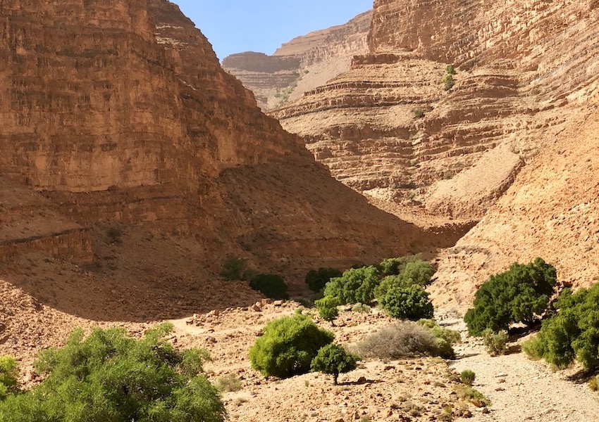 Image Tourisme solidaire au Maroc