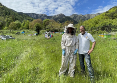 APRÈS LA TEMPÊTE, LES ABEILLES SONT REVENUES !