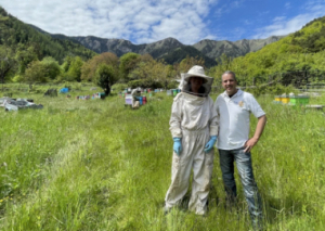 Image APRÈS LA TEMPÊTE, LES ABEILLES SONT REVENUES !