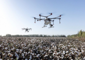 Image ROBOTS, INTELLIGENCE ARTIFICIELLE ET SATELLITES AU SERVICE D’UNE 3E RÉVOLUTION AGRICOLE