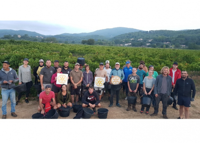 Image DES VENDANGES POUR LUTTER CONTRE LA GRANDE PAUVRETÉ