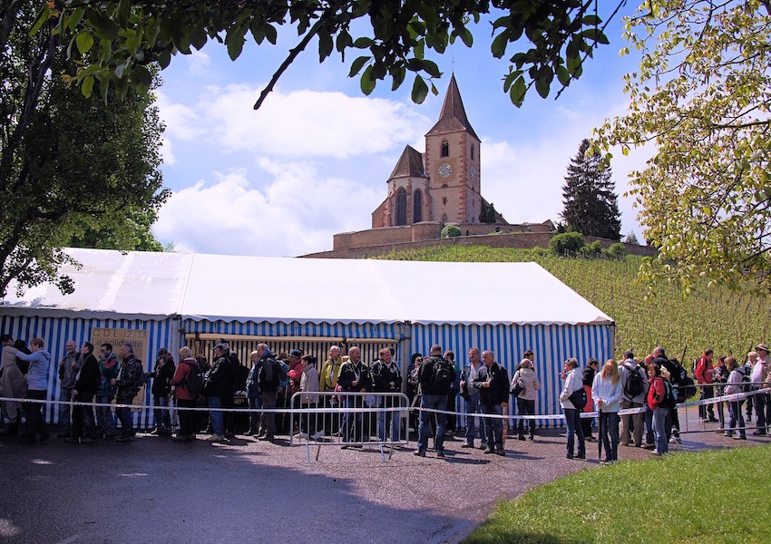 Image Marche gourmande au bénéfice du handicap
