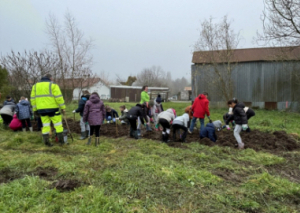 Image DES ARBRES PLANTÉS AVEC DES ENFANTS