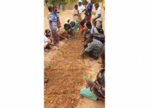 Image DU MARAÎCHAGE DANS UNE ÉCOLE BURKINABÉ