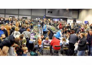 Image 6 000 VISITEURS À L’EXPO LEGO