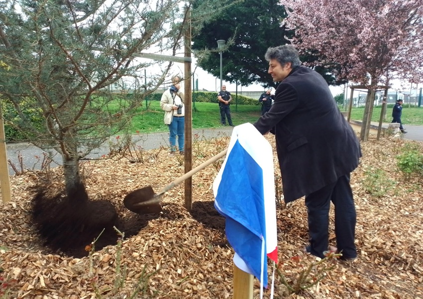 Image AMITIÉ FRANCE-LIBAN À TRAVERS LA PLANTATION D’UN CÈDRE
