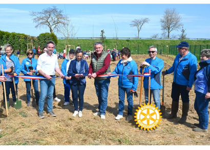Image DES PLANTS POUR LE RETOUR DES ABEILLES