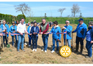 Image DES PLANTS POUR LE RETOUR DES ABEILLES