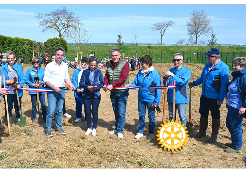 Image DES PLANTS POUR LE RETOUR DES ABEILLES
