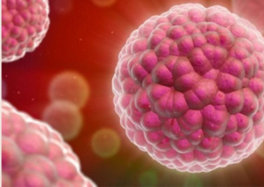 Face au cancer, une plateforme produit des médicaments de thérapie innovante