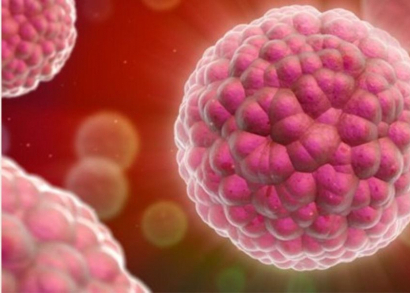 Image Face au cancer, une plateforme produit des médicaments de thérapie innovante