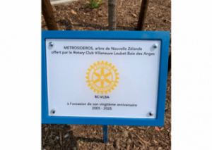 Image LE ROTARY PREND RACINE DANS LA CITÉ