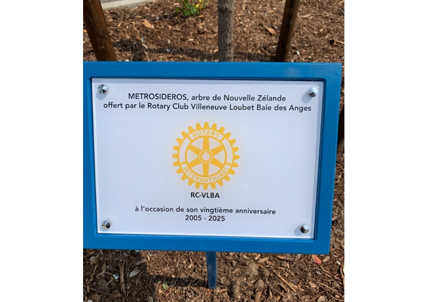 Image LE ROTARY PREND RACINE DANS LA CITÉ