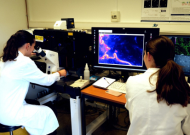 ROTARY ESPOIR EN TÊTE : LA RECHERCHE SUR LE CERVEAU SE POURSUIT