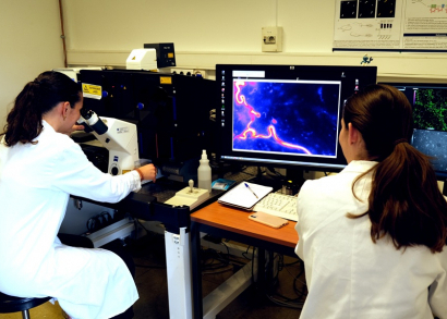 Image ROTARY ESPOIR EN TÊTE : LA RECHERCHE SUR LE CERVEAU SE POURSUIT