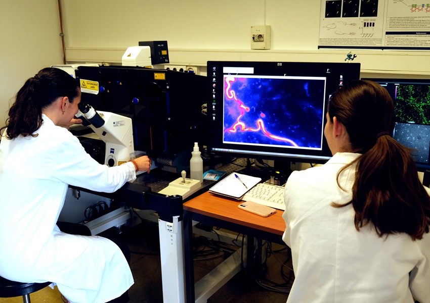 Image ROTARY ESPOIR EN TÊTE : LA RECHERCHE SUR LE CERVEAU SE POURSUIT