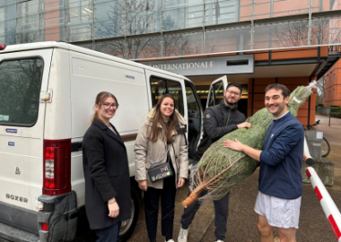 AU PIED DU SAPIN…ET DE VOTRE IMMEUBLE !