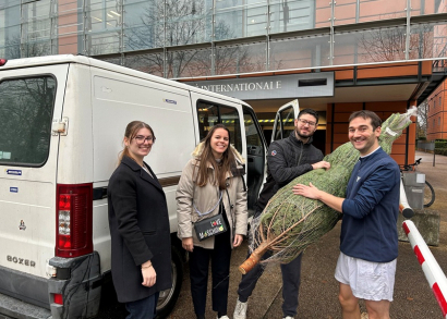 Image AU PIED DU SAPIN…ET DE VOTRE IMMEUBLE !