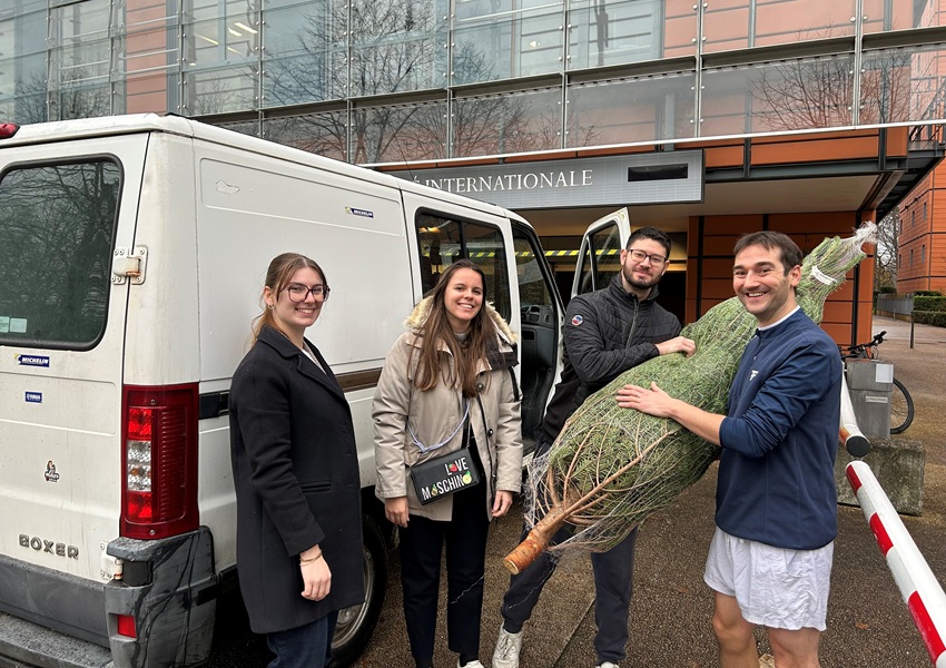 Image AU PIED DU SAPIN…ET DE VOTRE IMMEUBLE !