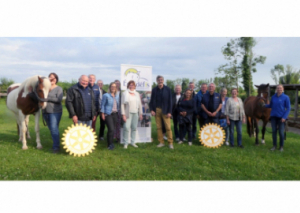 Image LE CHEVAL ATTÉNUE DES TROUBLES PSYCHIQUES