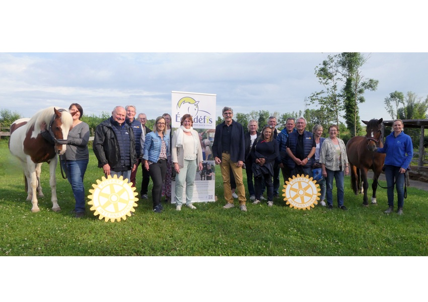 Image LE CHEVAL ATTÉNUE DES TROUBLES PSYCHIQUES