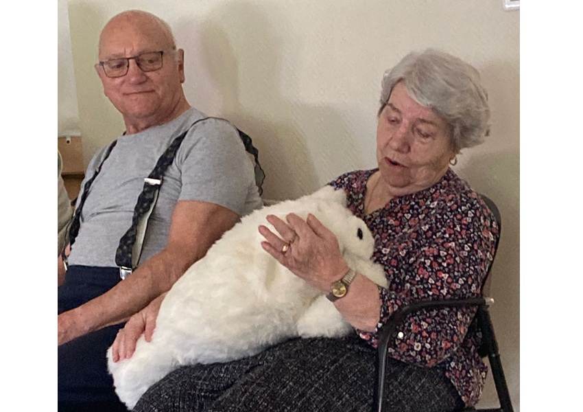 Image UN ROBOT D’ASSISTANCE POUR UN EHPAD