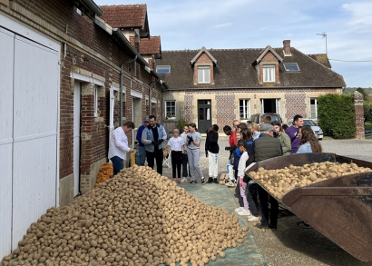 Image 4 TONNES DE POMMES DE TERRE RÉCOLTÉES