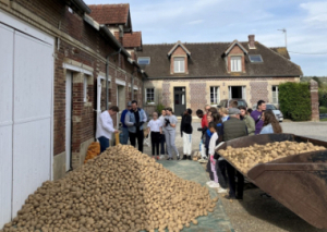 Image 4 TONNES DE POMMES DE TERRE RÉCOLTÉES