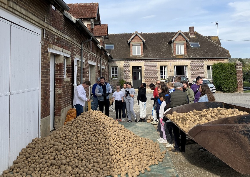 Image 4 TONNES DE POMMES DE TERRE RÉCOLTÉES