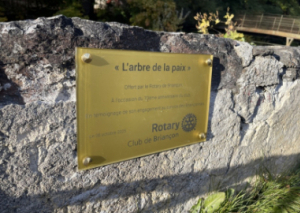 Image L’ARBRE DE LA PAIX