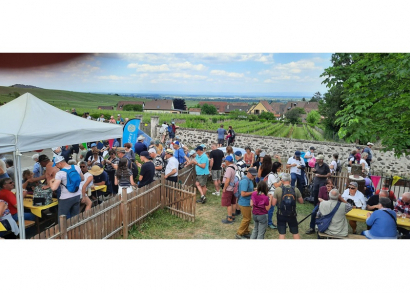 Image UNE MARCHE GOURMANDE RÉUNIT 10 CLUBS