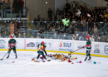 405 peluches collectées sur la glace