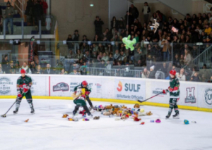 Image 405 peluches collectées sur la glace