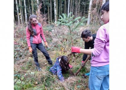 Image DES ENFANTS PLANTENT DES ARBUSTES