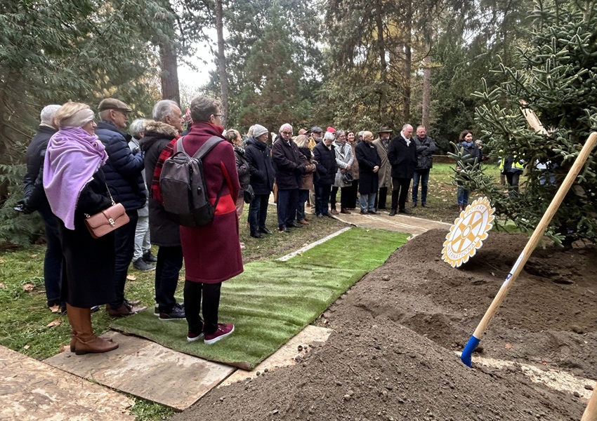 Image L’ARBRE DU CENTENAIRE