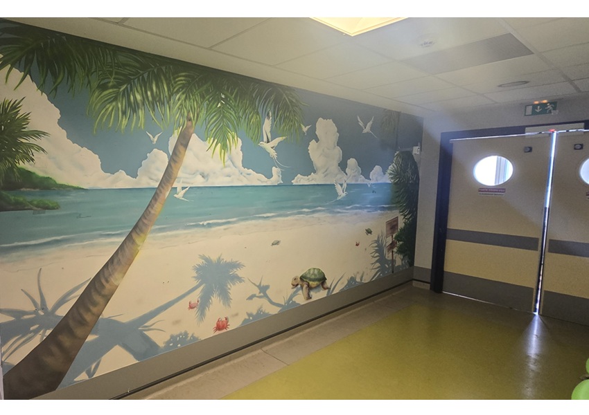 Image DES FRESQUES POUR ÉGAYER UN SERVICE PÉDIATRIQUE