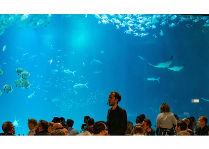 Image SAUVER LE CORAIL