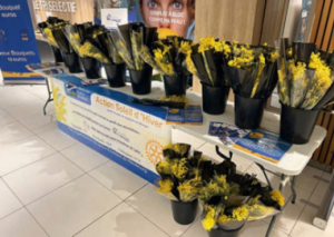 Image DES MIMOSAS POUR LYLOU