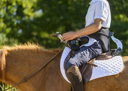 Image L’INCLUSION AU GALOP