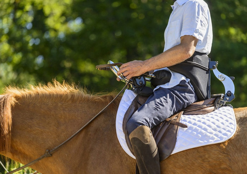 Image L’INCLUSION AU GALOP