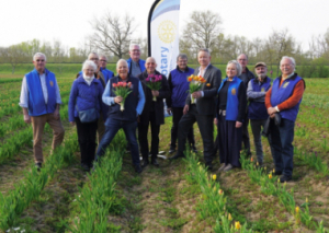 Image DES TULIPES QUI FONT PROGRESSER LA RECHERCHE MÉDICALE