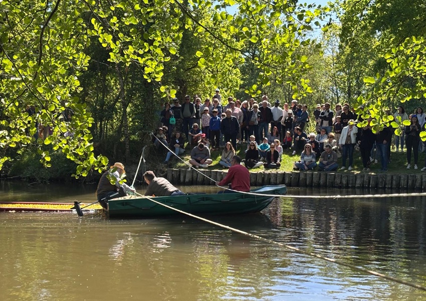 Image PROMOUVOIR LA SANTÉ MENTALE À TRAVERS UNE COURSE DE CANARDS