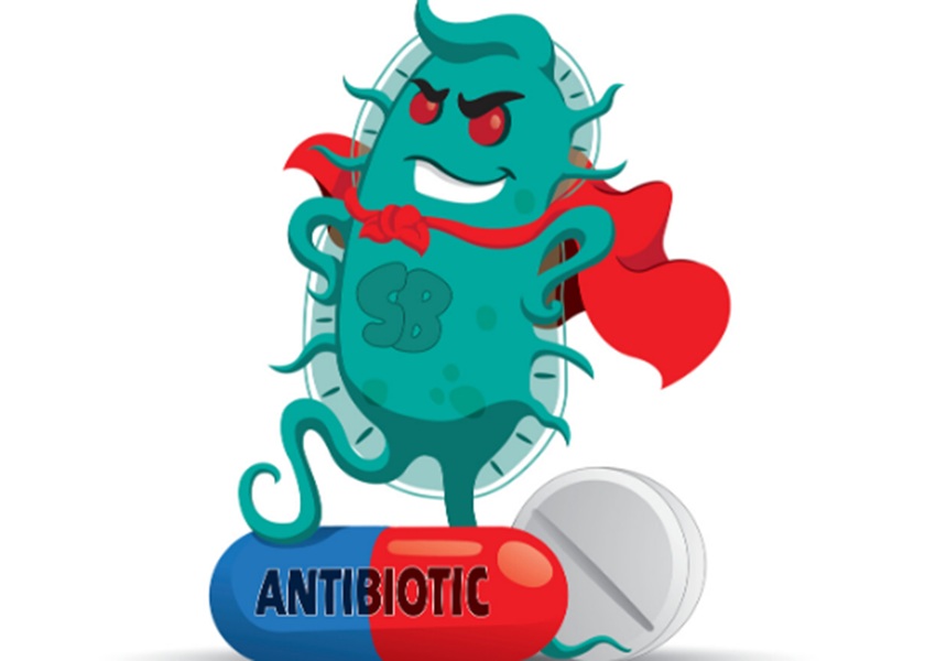 Image ANTIBIORÉSISTANCE : SUR LA PISTE DE NOUVELLES MOLÉCULES
