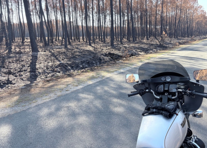 Image LES ROTARIENS DANS LE FEU DE L’ACTION