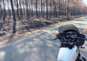 Image LES ROTARIENS DANS LE FEU DE L’ACTION
